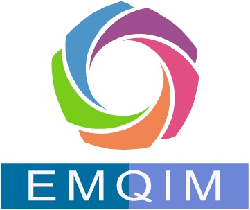screenshot of EMQIM