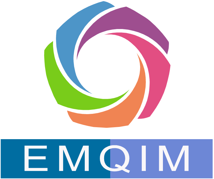 screenshot of EMQIM