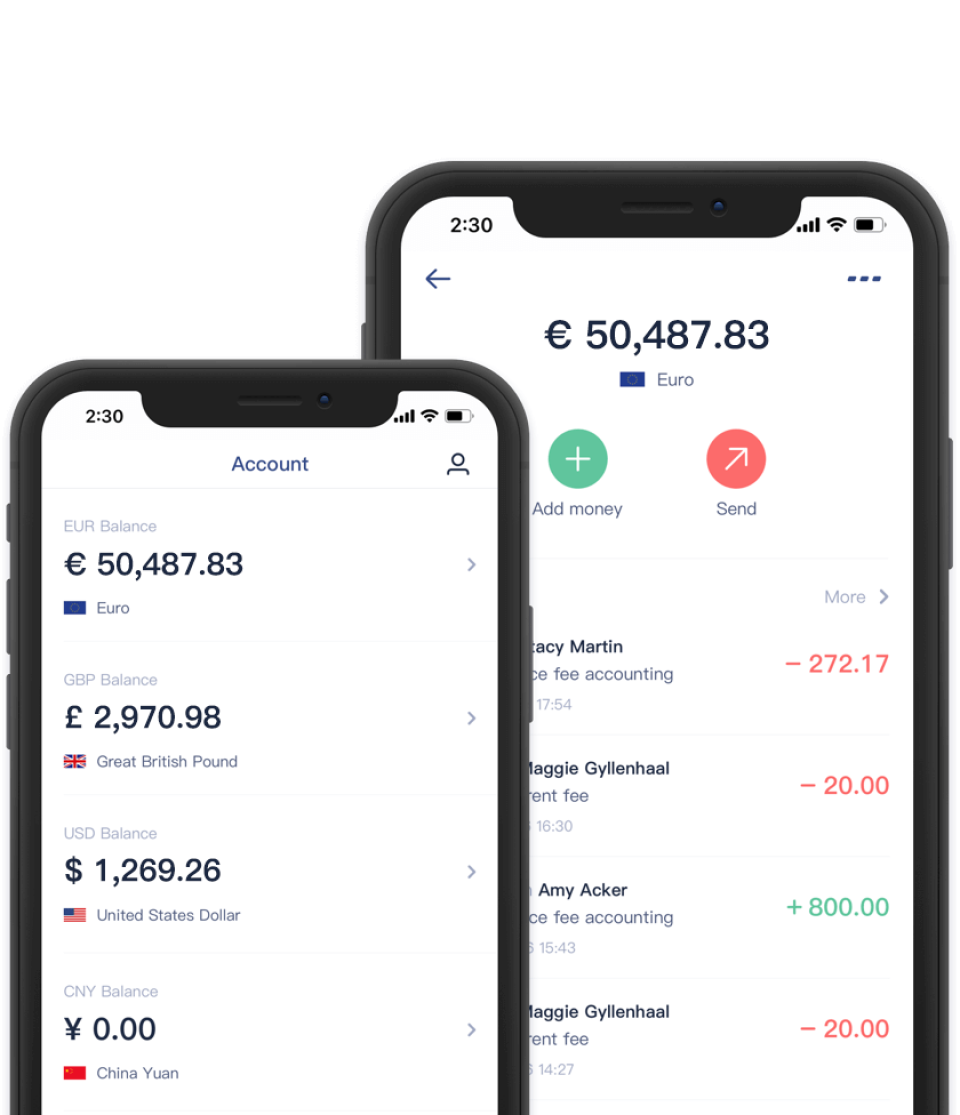 screenshot of EasyEuro