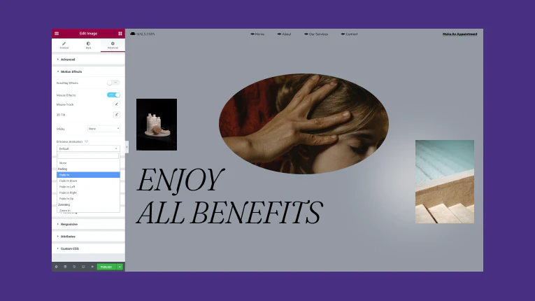 screenshot of Elementor