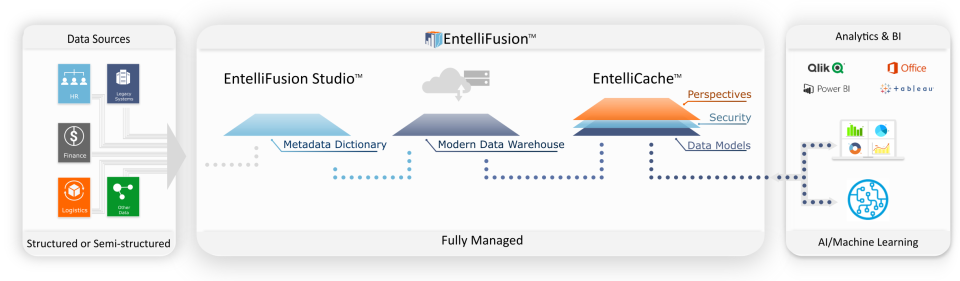 screenshot of EntelliFusion