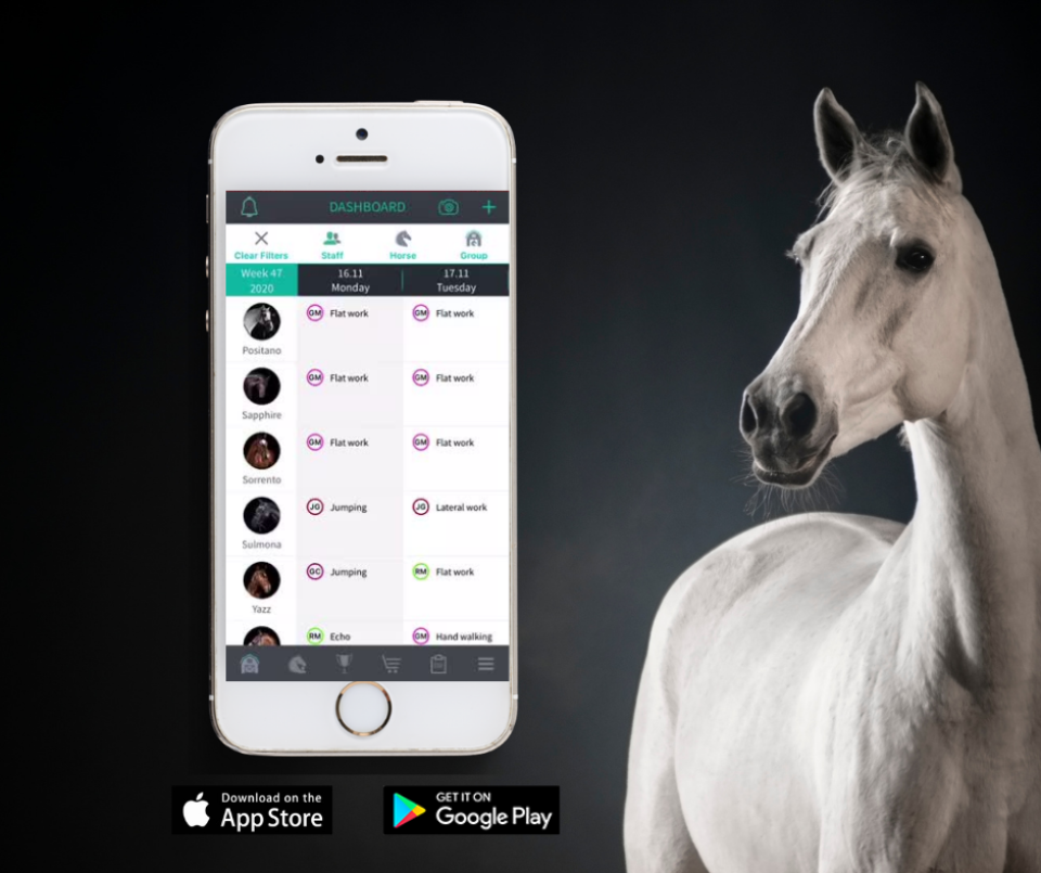 screenshot of Equicty