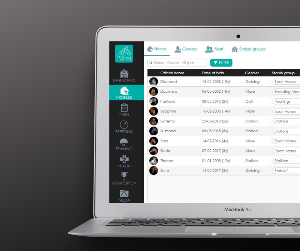 screenshot of Equicty