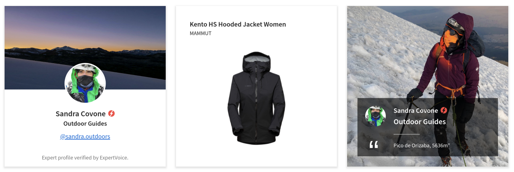 screenshot of ExpertVoice