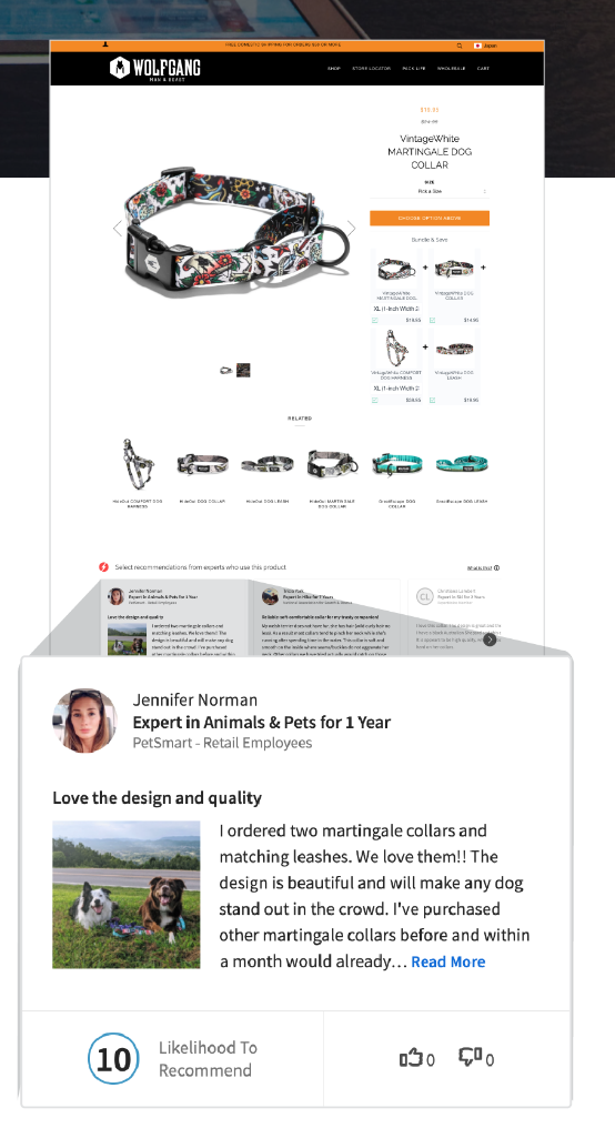 screenshot of ExpertVoice