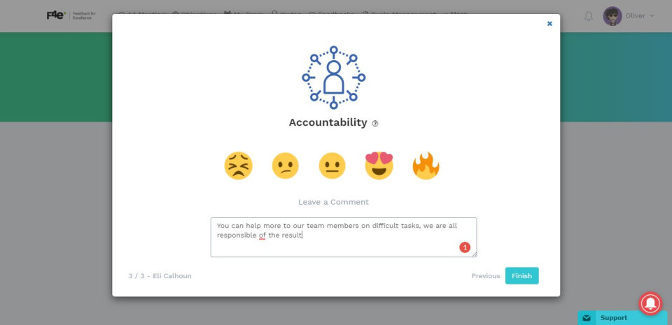 screenshot of Feedback4e