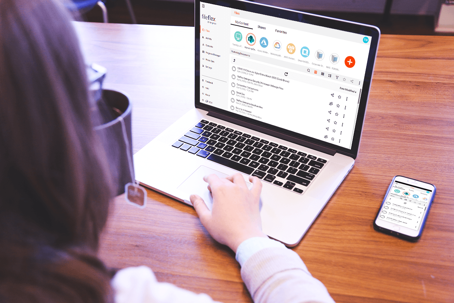 screenshot of FileFlex