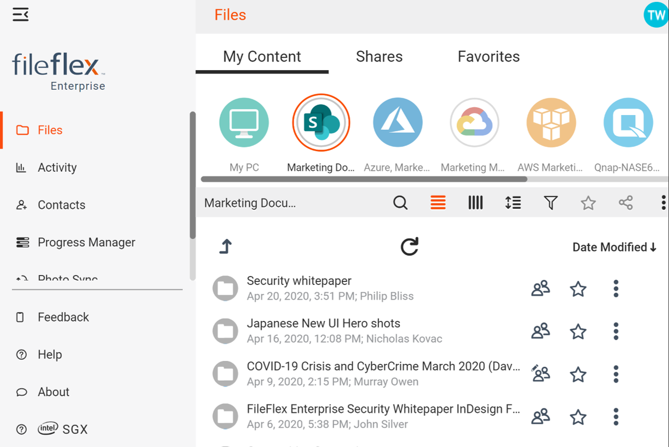 screenshot of FileFlex