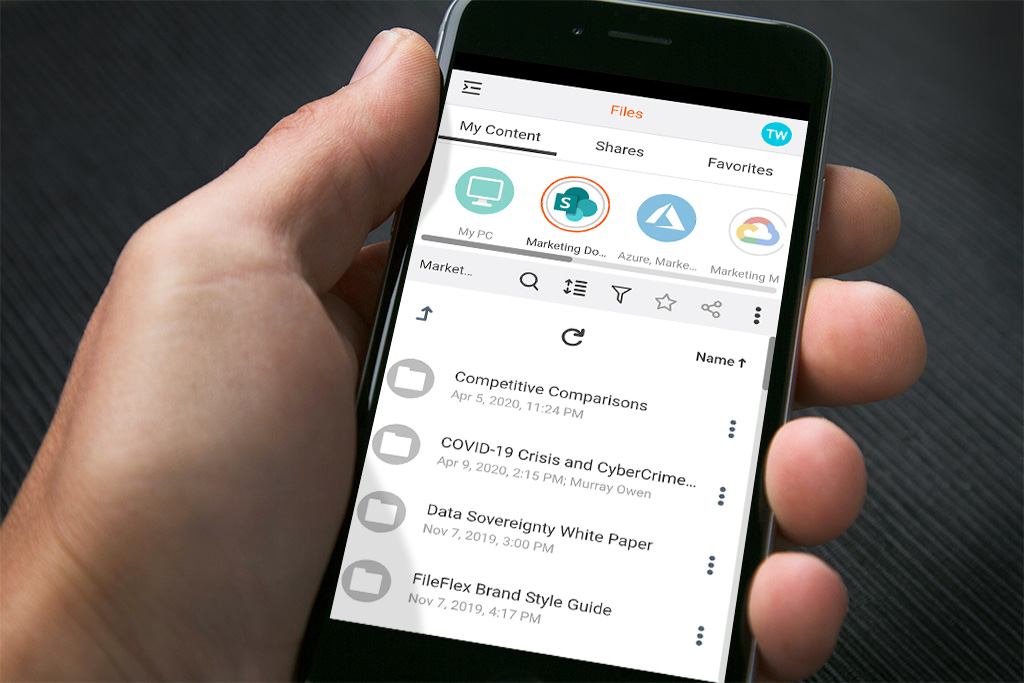 screenshot of FileFlex