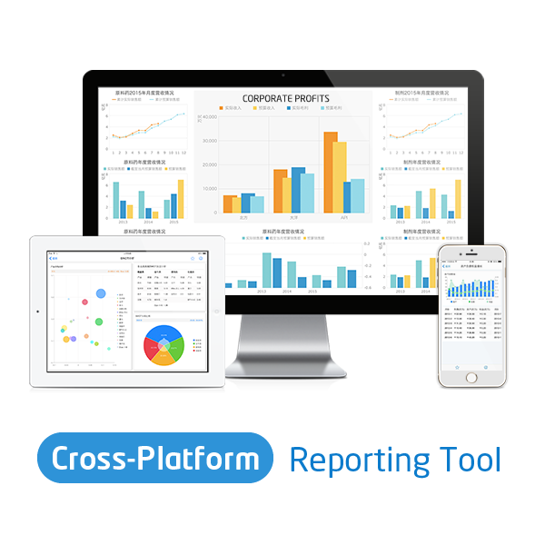 screenshot of FineReport