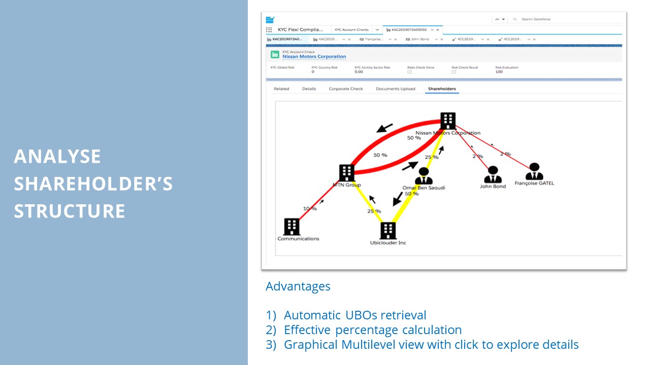 screenshot of FlexiKYC
