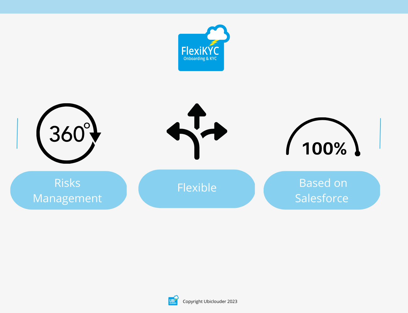 screenshot of FlexiKYC