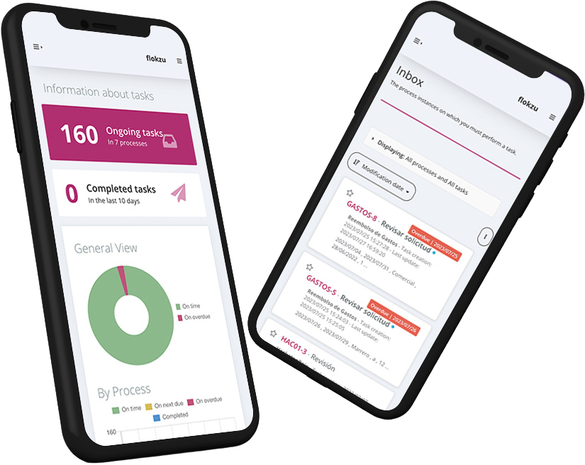 screenshot of Flokzu