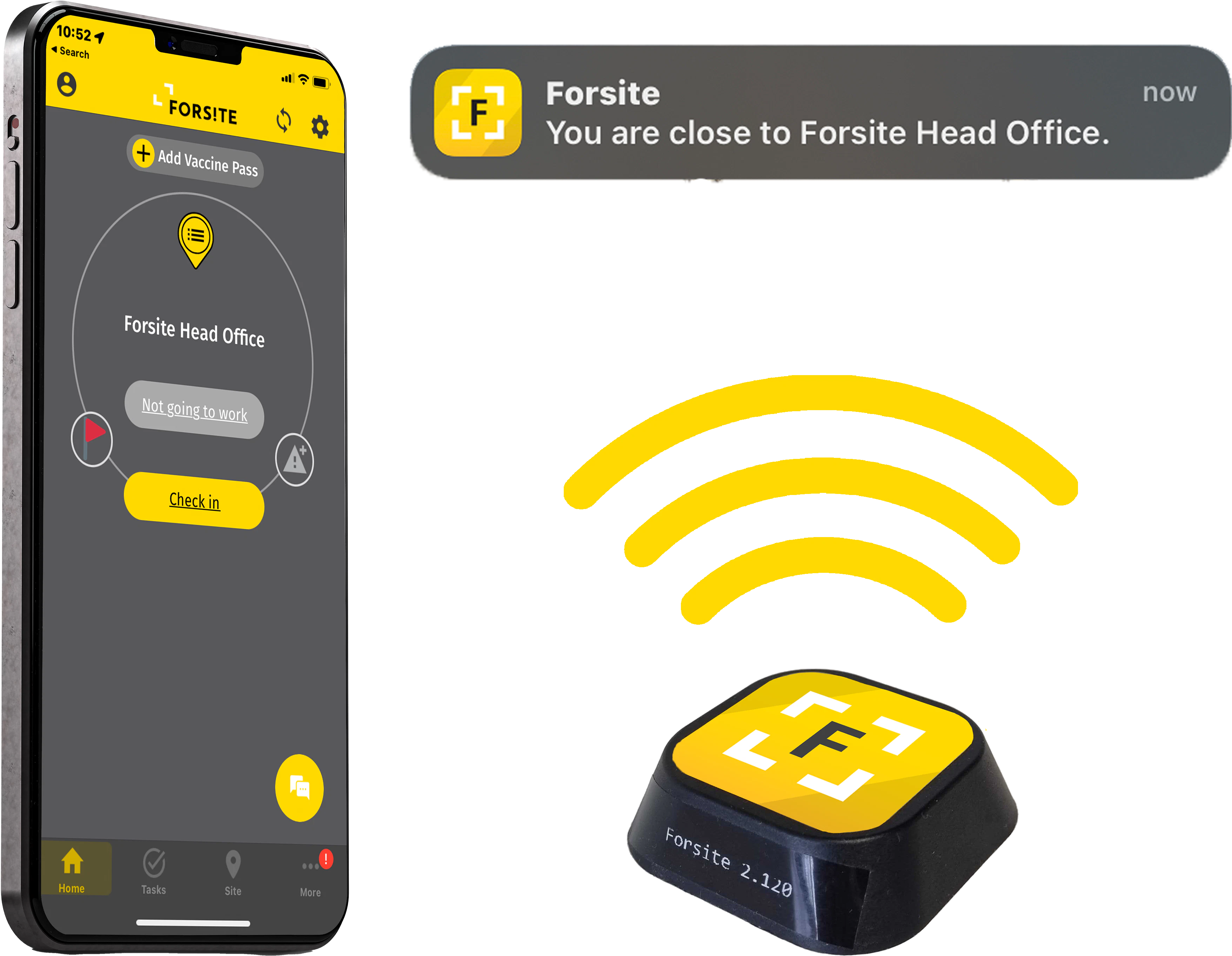 screenshot of Forsite