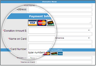 screenshot of FundRaiser