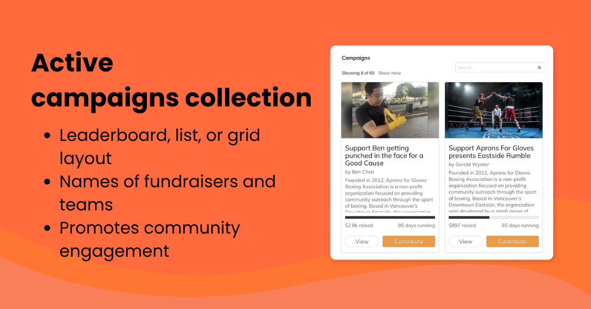 screenshot of FundRazr