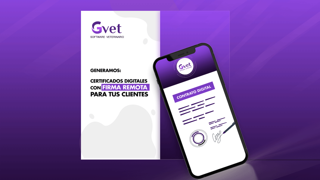 screenshot of GVET