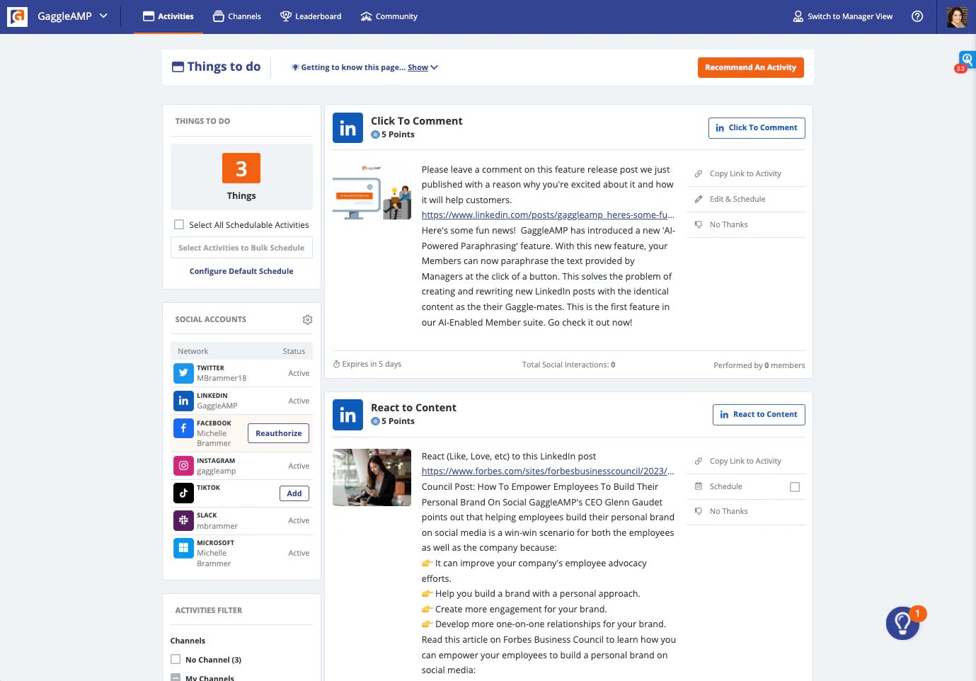 screenshot of GaggleAMP