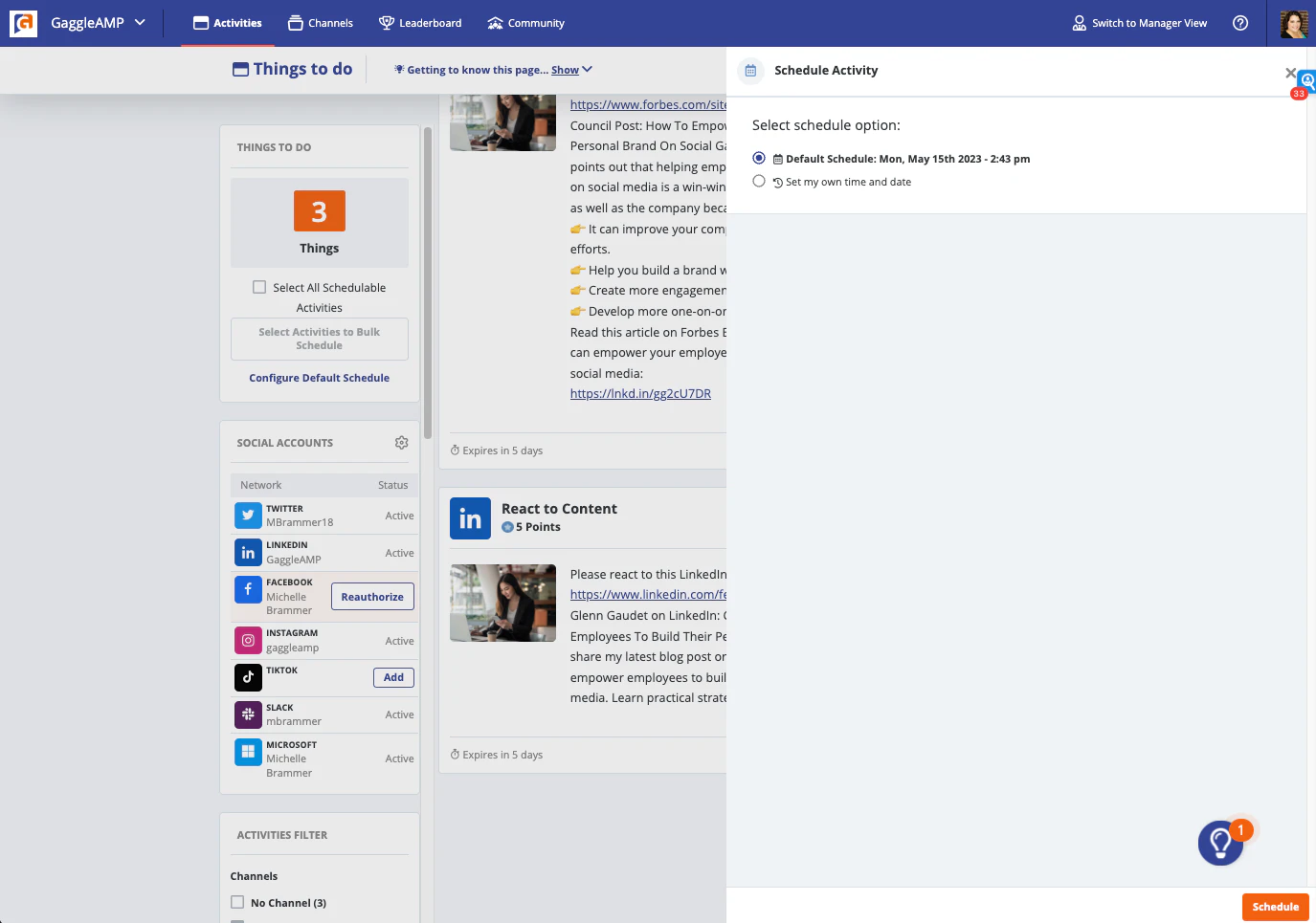 screenshot of GaggleAMP