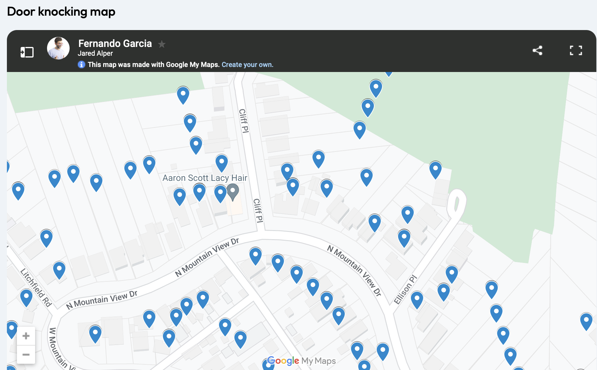 screenshot of GoodParty.org