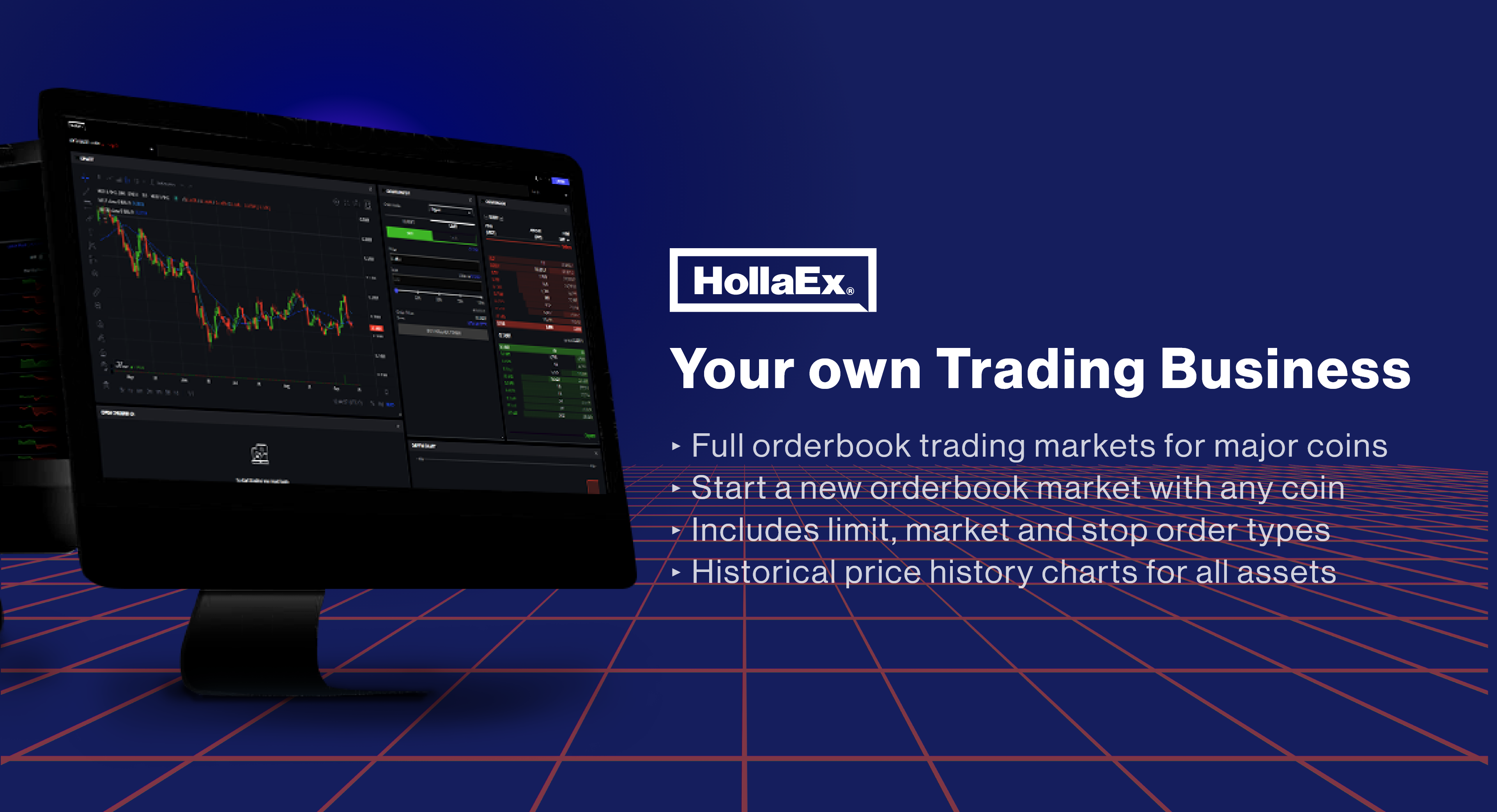 screenshot of HollaEx