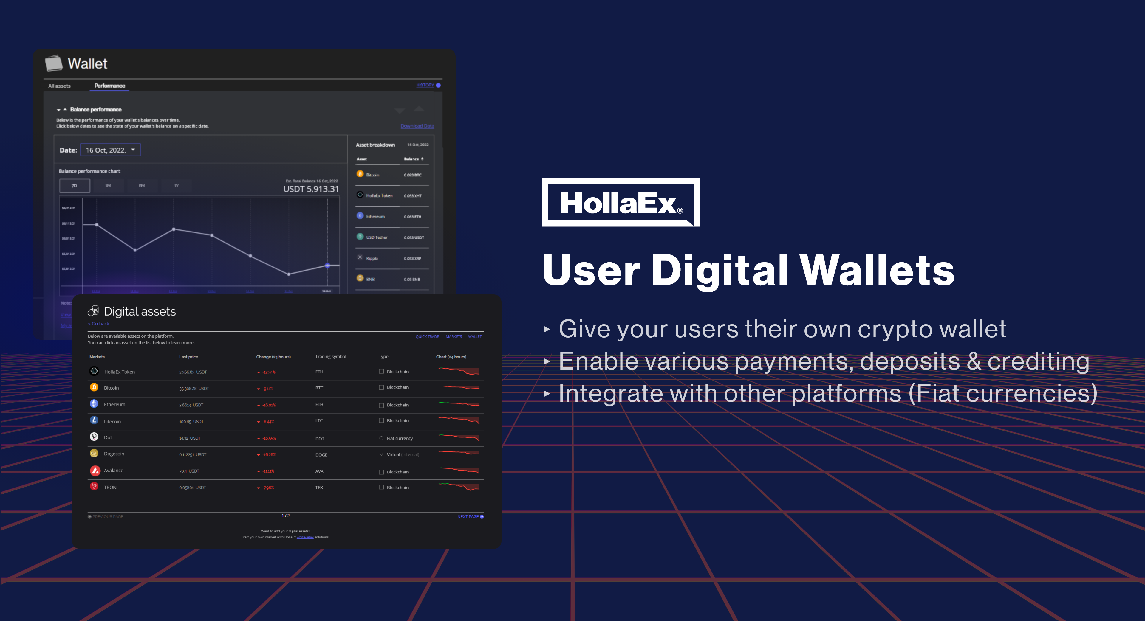 screenshot of HollaEx