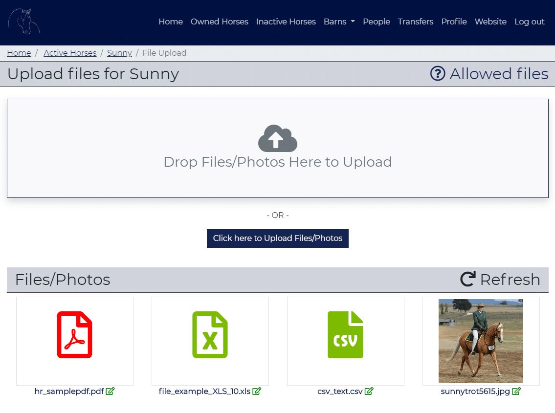 screenshot of HorseRecords