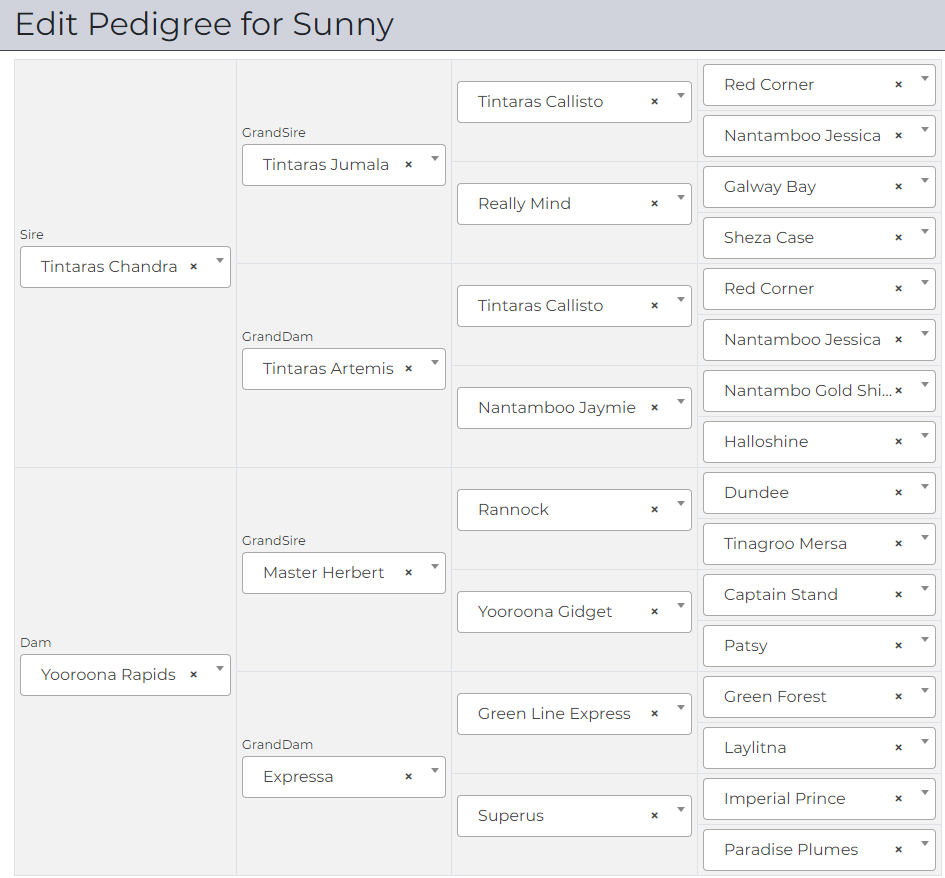 screenshot of HorseRecords