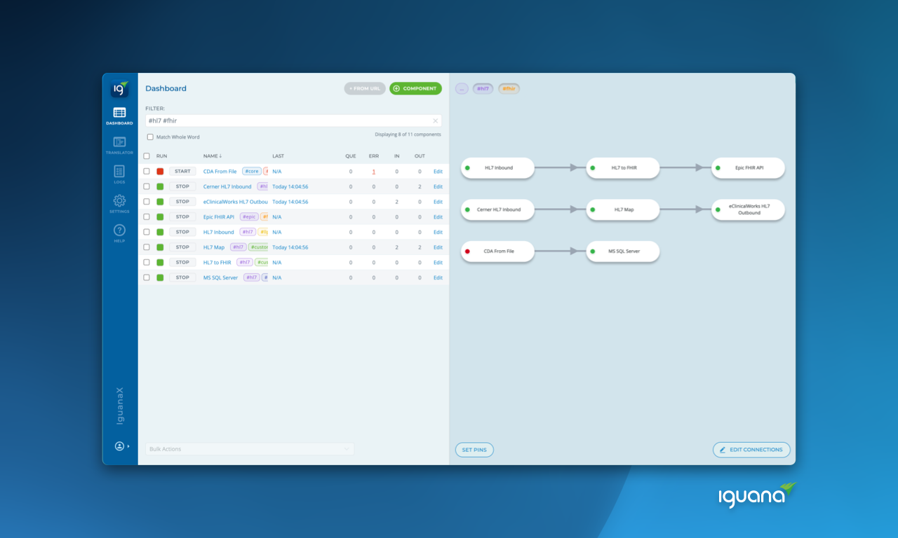screenshot of Iguana