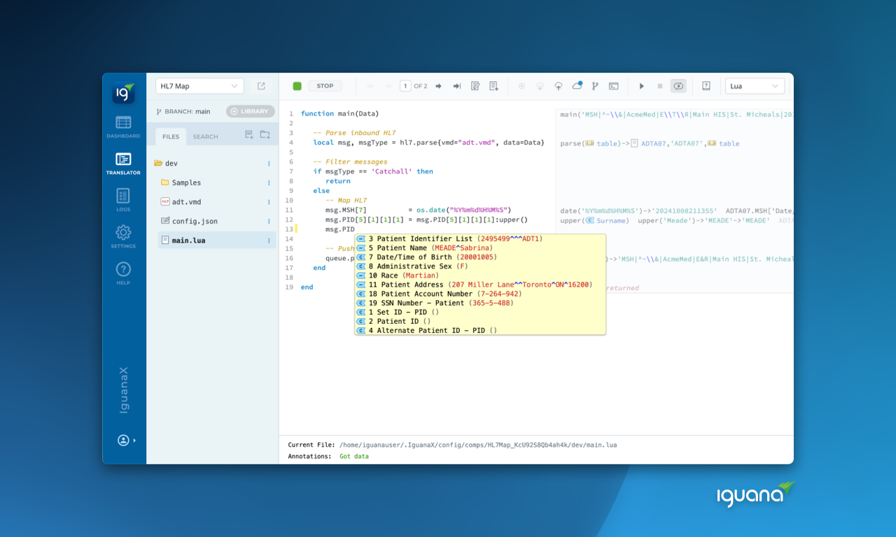 screenshot of Iguana