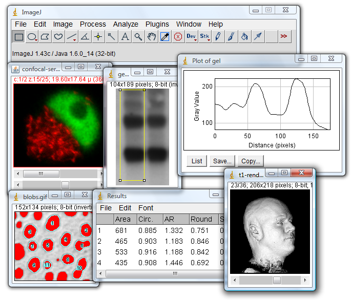 screenshot of ImageJ