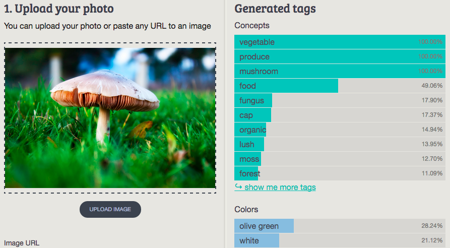screenshot of Imagga
