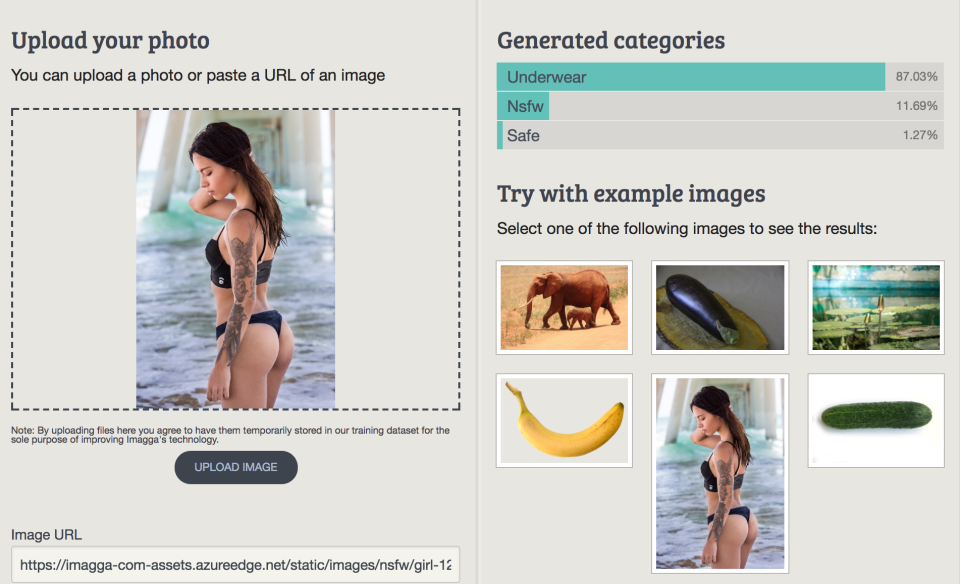 screenshot of Imagga