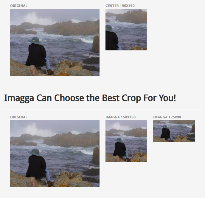 screenshot of Imagga