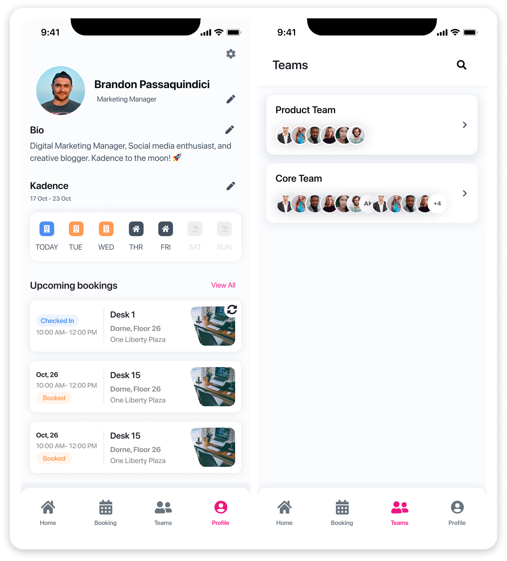 screenshot of Kadence