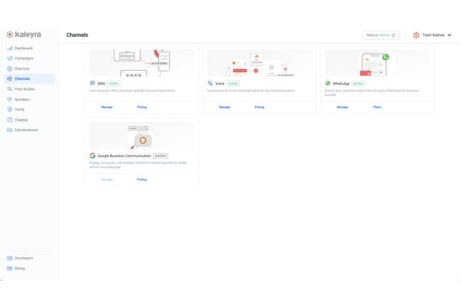 screenshot of Kaleyra