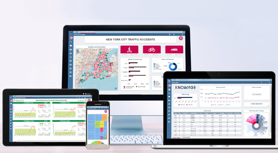 screenshot of Knowage