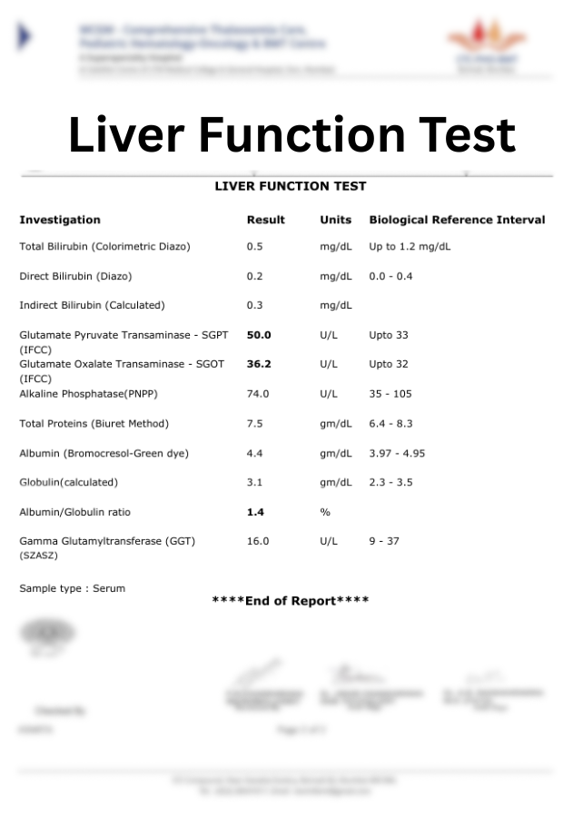 screenshot of LIMSXL