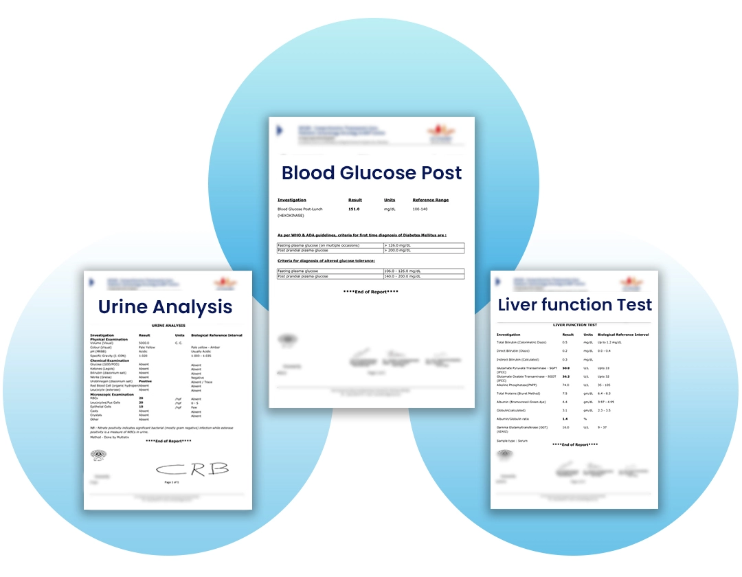 screenshot of LIMSXL