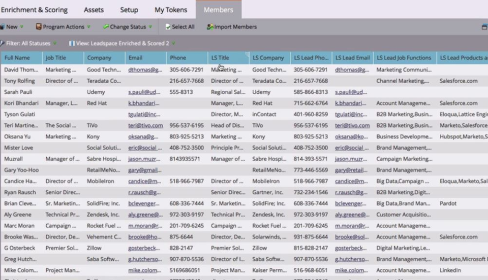 screenshot of Leadspace