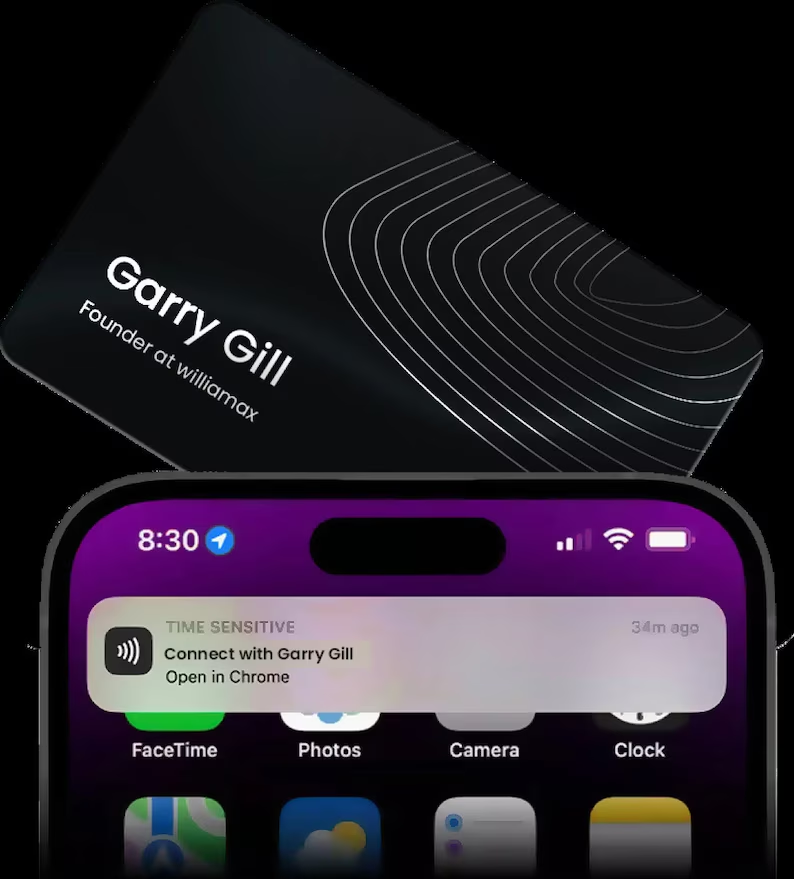 screenshot of Leapon