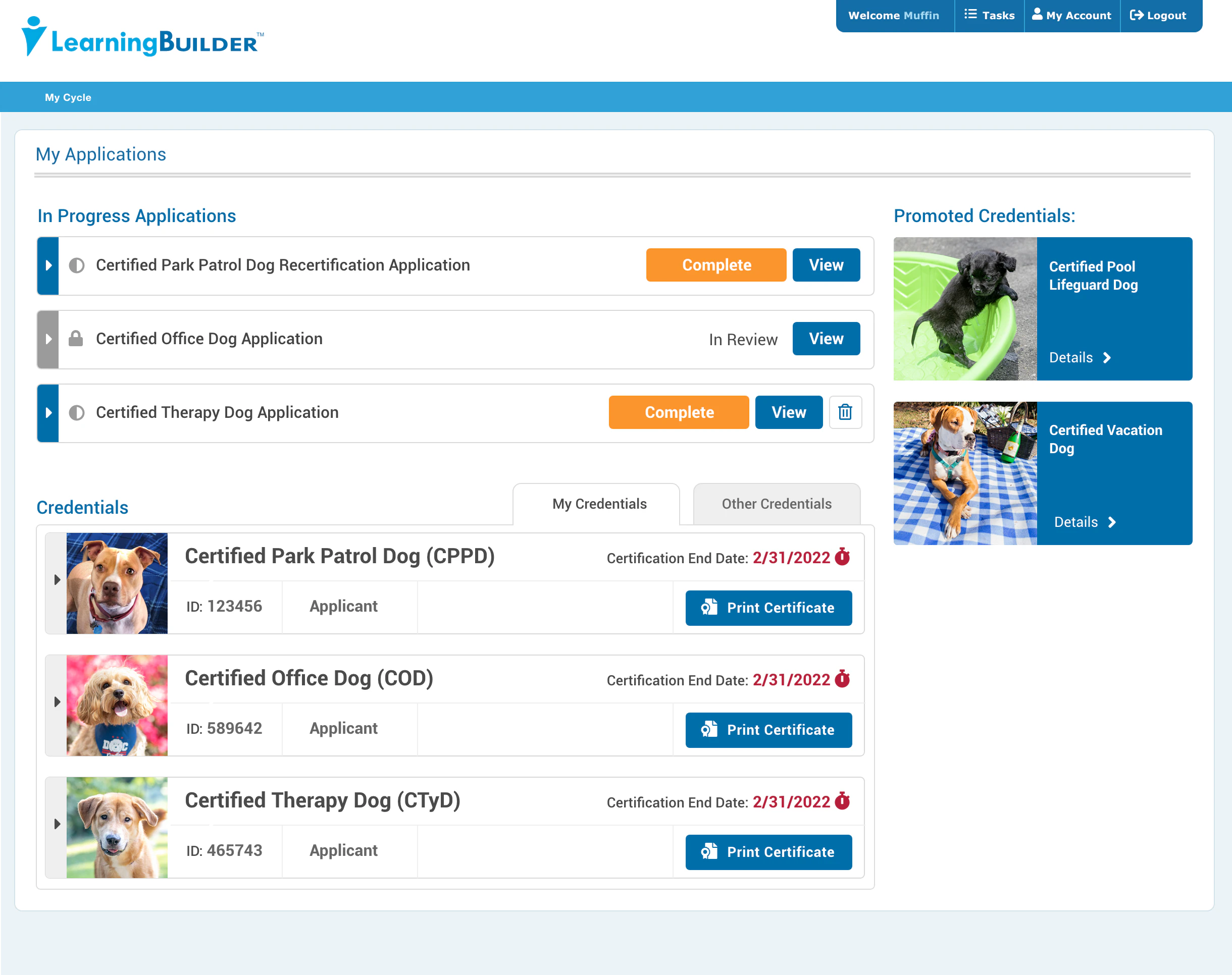 screenshot of LearningBuilder