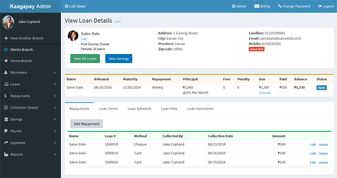 screenshot of Loandisk