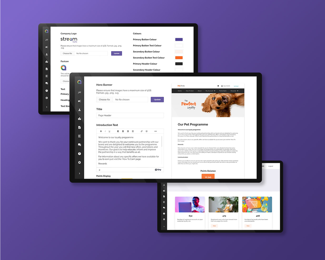 screenshot of LoyaltyStream