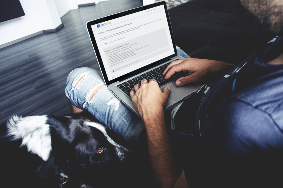 screenshot of MLVerify