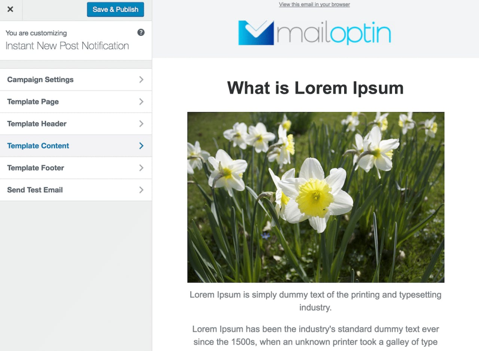 screenshot of MailOptin