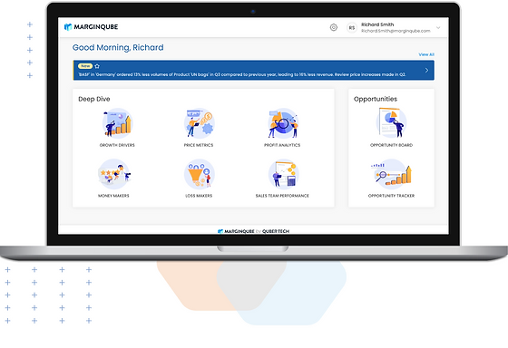 screenshot of MarginQube
