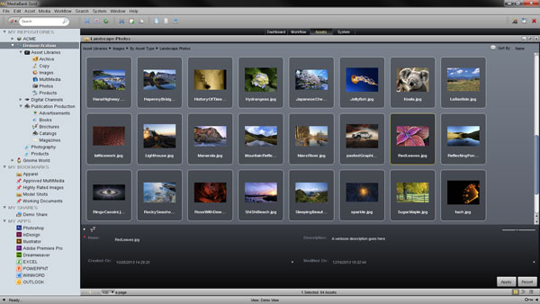 screenshot of MediaBank