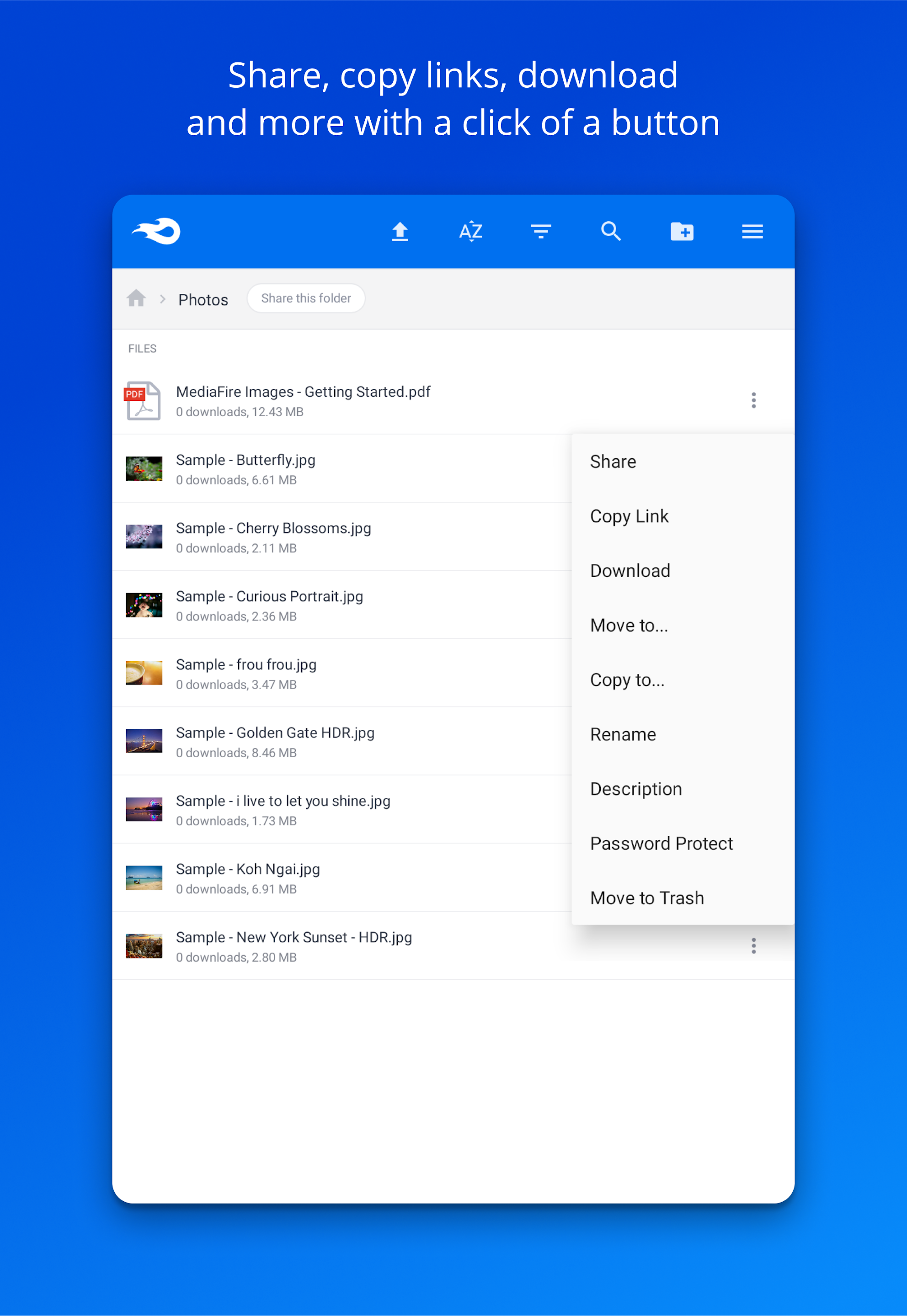 screenshot of MediaFire