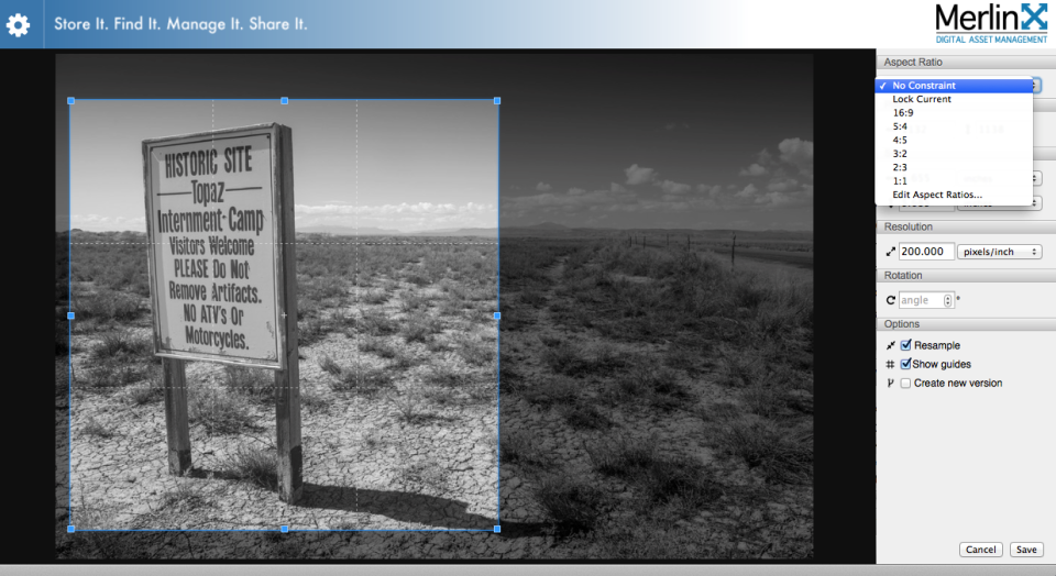 screenshot of MerlinX